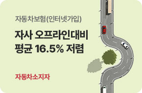 자동차보험(인터넷가입)자사 오프라인대비 평균 16.6% 저렴 운전면허소지자